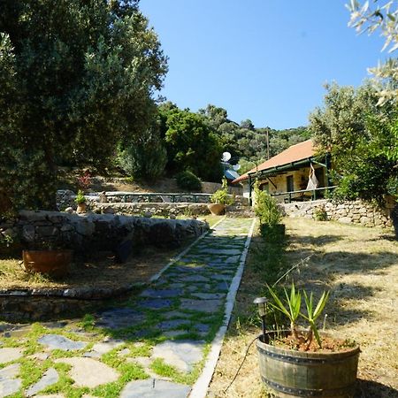 Elpida Country House -Paleochora-Anidri ภายนอก รูปภาพ